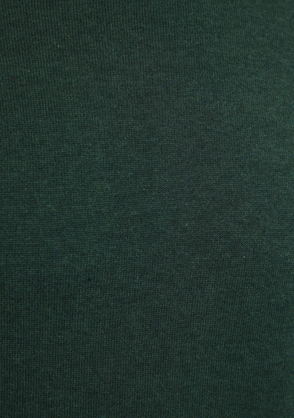 SCOTLAND BLUE COLTRUI
