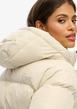 SUPERDRY JACK